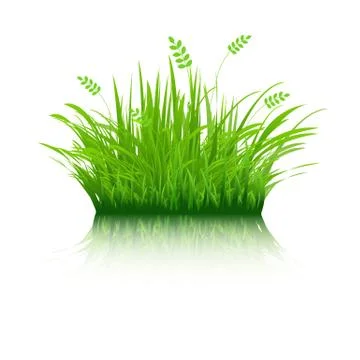 Eco grass Illustrazione stock