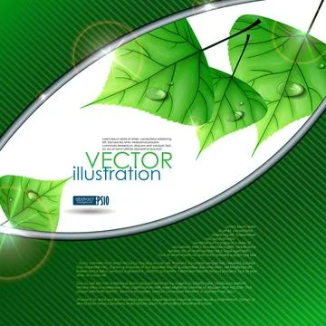 Eco Green Background With Leaves. Vector Illustration. Eps 10 Eco Green Ba... Stock Photos