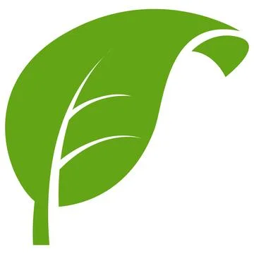 Eco green color leaf vector logo flat icon set. Isolated leaf shapes on white Stock Illustration
