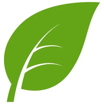 Eco green color leaf vector logo flat icon set. Isolated leaf shapes on white Stock Illustration