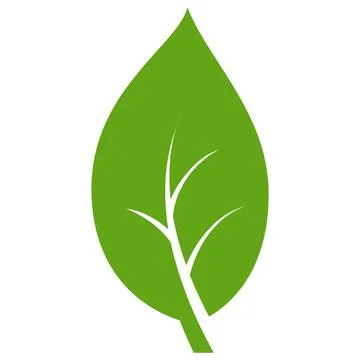 Eco green color leaf vector logo flat icon set. Isolated leaf shapes on white Stock Illustration