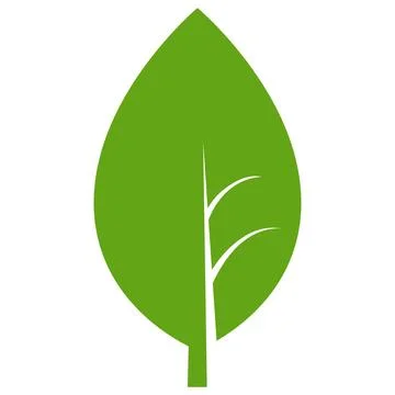 Eco green color leaf vector logo flat icon set. Isolated leaf shapes on white Stock Illustration