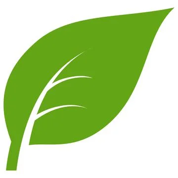 Eco green color leaf vector logo flat icon set. Isolated leaf shapes on white Stock Illustration