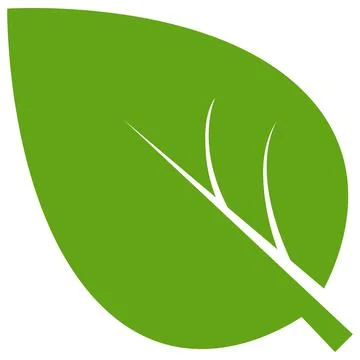 Eco green color leaf vector logo flat icon set. Isolated leaf shapes on white Stock Illustration