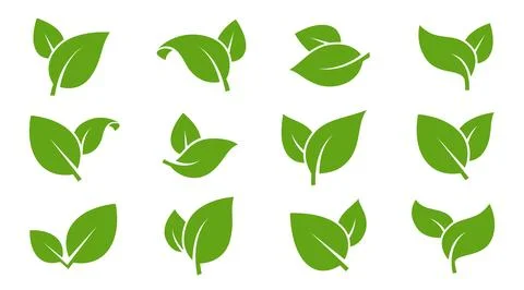 Eco green color leaf vector logo flat icon set. Isolated leaves shapes on whi Stock Illustration