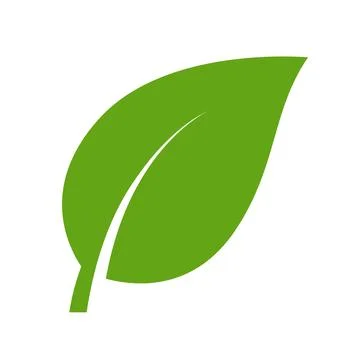 Eco green color leaf vector logo flat icon. Isolated leaf shape on white back Stock Illustration
