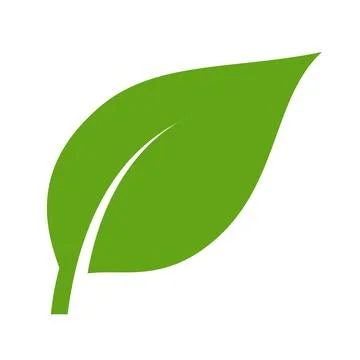 Eco green color leaf vector logo flat icon. Isolated leaf shape on white back Illustrazione stock