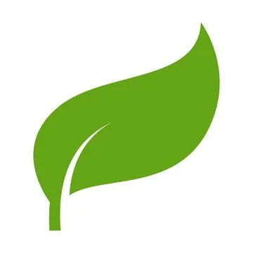 Eco green color leaf vector logo flat icon. Isolated leaf shape on white back Stock Illustration