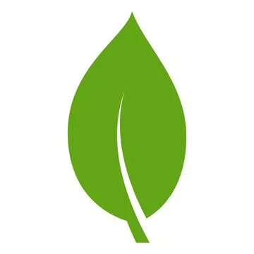 Eco green color leaf vector logo flat icon. Isolated leaf shape on white back Stock Illustration