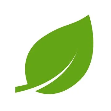Eco green color leaf vector logo flat icon. Isolated leaf shape on white back Stock-Illustration