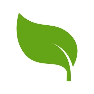 Eco green color leaf vector logo flat icon. Isolated leaf shape on white back Stock Illustration