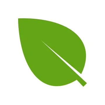 Eco green color leaf vector logo flat icon. Isolated leaf shape on white back Stock Illustration