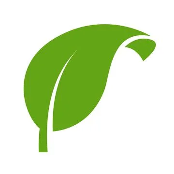 Eco green color leaf vector logo flat icon. Isolated leaf shape on white back Stock Illustration