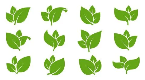 Eco green color leaf vector logo flat icon set. Isolated leaves shapes on whi Stock Illustration
