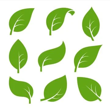 Eco green color leaf vector logo flat icon set. Isolated leaves shapes on whi Stock Illustration