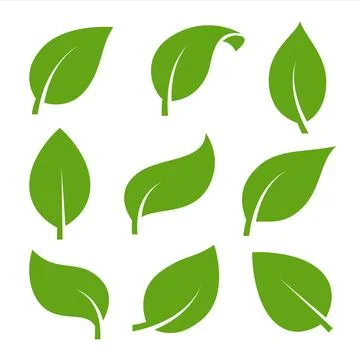 Eco green color leaf vector logo flat icon set. Isolated leaves shapes on whi Stock Illustration