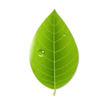 Eco green leaf Stock Illustration