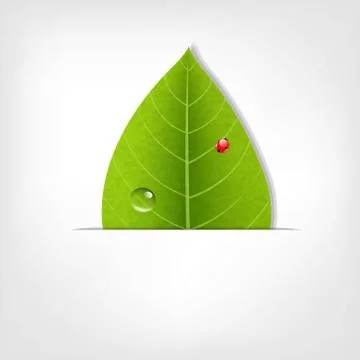 Eco green leaf poster Stock Illustration