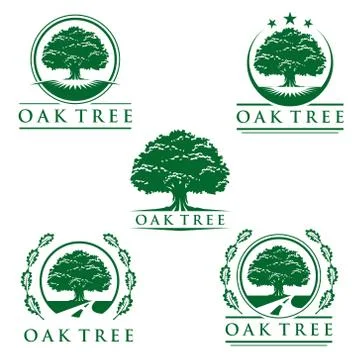 Eco green oak tree vector logo design Stock Illustration
