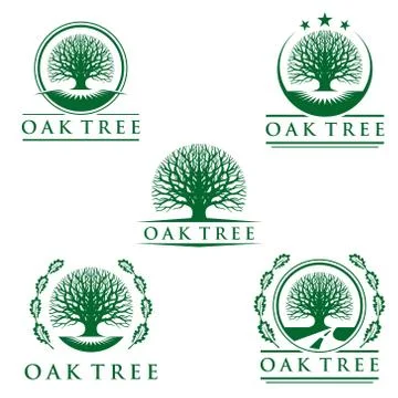Eco green oak tree vector logo design Stock Illustration
