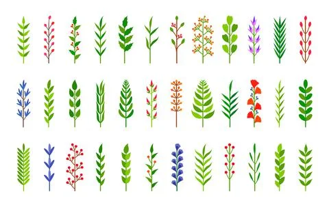 Eco green tree branch leaf berry floral vector set Stock Illustration