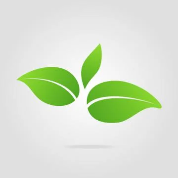 Eco icon green leaf Illustrazione stock