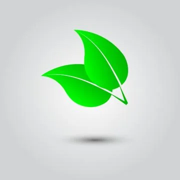 Eco icon with green leaf Stock Illustration