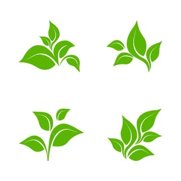 Eco icon green leaf vector illustration isolated. Green leaf sign Stock Illustration