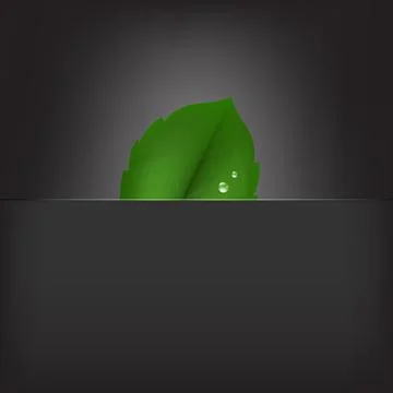 Eco Illustration With Leaf Stock Illustration