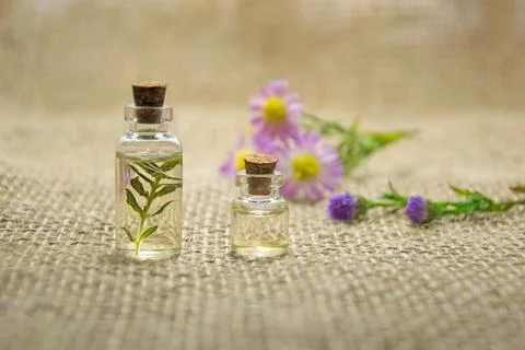 Eco Inside The Bottle Stock Photos