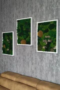 Eco interior design with stabilized moss wall art panels Stock Photos