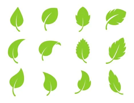 Eco leaf green color vector logo flat icon set. Isolated leaves shapes on white Stock Illustration