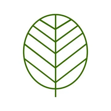 Eco leaf icon. Green leaf of a tree illustration symbol. Sign organic vector. Stock Illustration