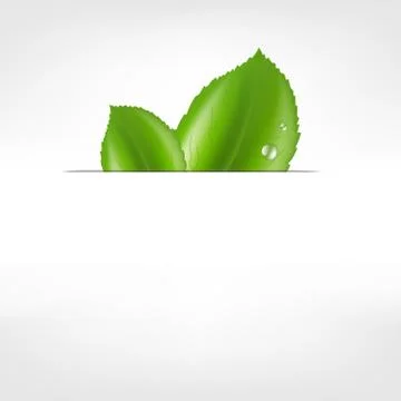 Eco leaf Stock Illustration