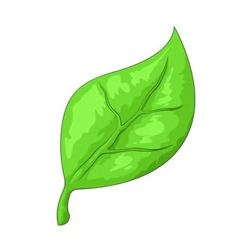 Eco Leaf illustration Stock Illustration