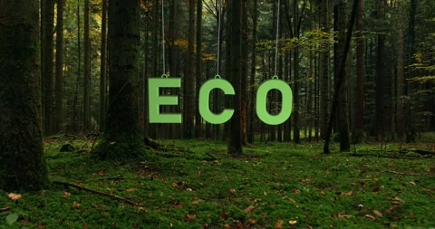 Eco letters hang on strings and swing in a beautiful green forest 库存影片 344140122
