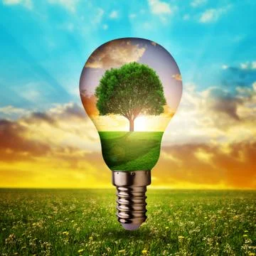 Eco light bulb with tree inside at sunset. Stock Photos