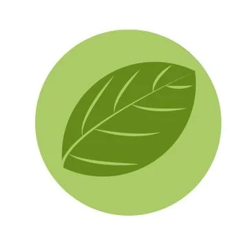 Eco logo isolated on white background. Bio emblem organic leaf circle. Stock Illustration