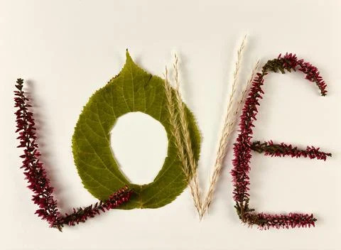 Eco Love Composition Stock Photos