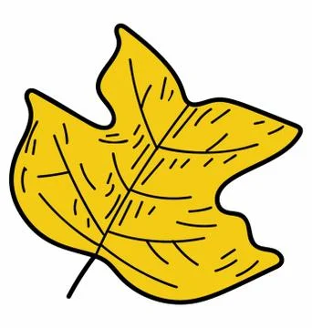 Eco Maple Leaf Stock Illustration