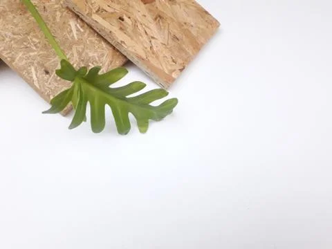 Eco material Stock Photos