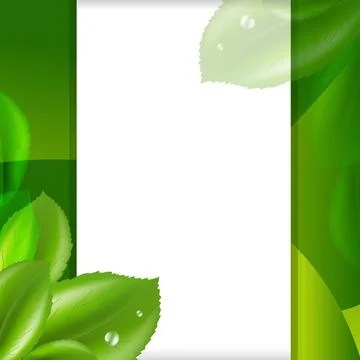 Eco Paper And Leaf Stock Illustration