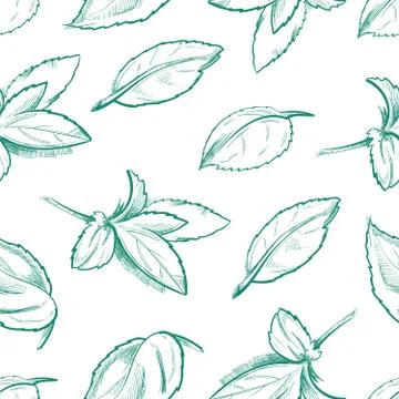 Eco peppermint tea, fresh mint leaves, menthol seamless vector background Stock Illustration
