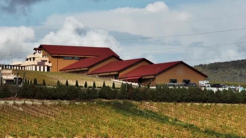 Eco plant to grow different types of grapes and produce your own wine Stock Footage 268747746