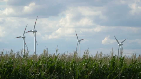 Eco power. Wind turbines generating electricity. Stock Footage 96741329