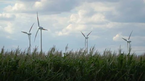 Eco power. Wind turbines generating electricity. Stock Footage 96741454