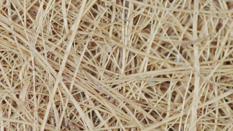 An Eco Scrub Sponge Rotation Stock Footage 248757765