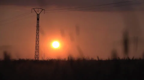 Eco system sunset slow motion 1080 库存影片 25605188