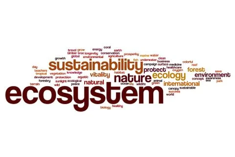Eco system word cloud Stock Illustration