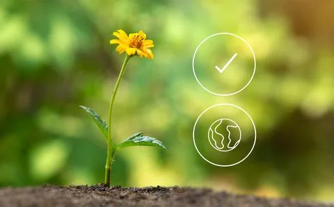An Eco technology or environmental technology concept with environment Icon.. Stock Photos
